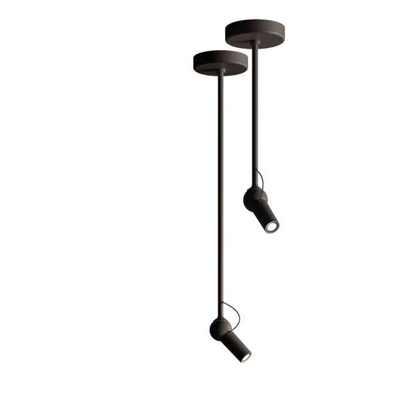 Bird Ceiling Lamp-black